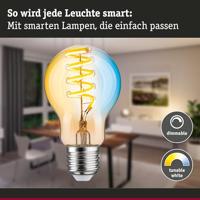 29155 Paulmann Home LED-lamp E27 Energielabel: G (A - G) 7.5 W Warmwit tot koudwit Goud - thumbnail
