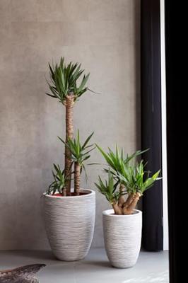 Vaas elegant laag Rib NL 46x58 - Antraciet - thumbnail