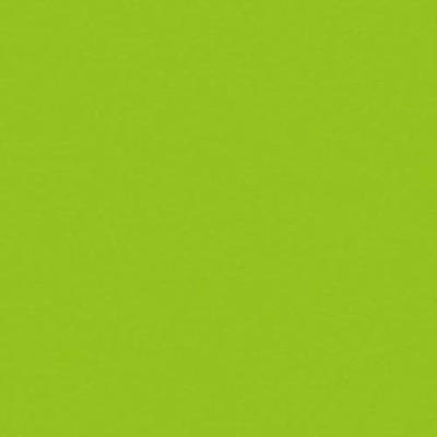 Showgear Handheld Streamer Cannon Pro 80 cm lichtgroen Showgear Handheld Streamer Cannon Pro 80 cm lichtgroen