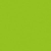 Showgear Handheld Streamer Cannon Pro 80 cm lichtgroen - thumbnail