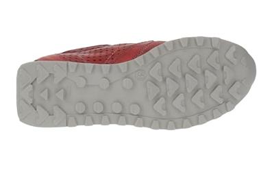 Cetti C-848 EXP - alle