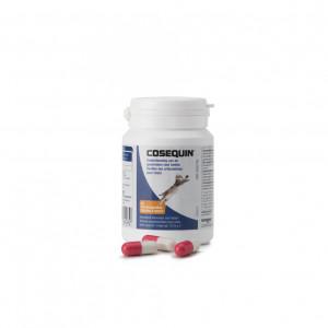 Cosequin Kat Strooicaps 45