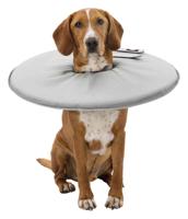 Lampenkap voor honden Trixie Grijs (38-42 cm) - thumbnail
