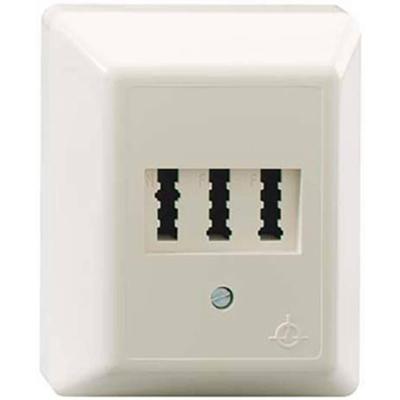 Rutenbeck AMS 1/2 NFU AP Telefoonaansluitdoos Opbouw (op muur) Rutenbeck AMS 1/2 NFU AP Telefoonaansluitdoos Opbouw (op muur)