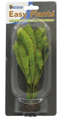 Easy plants middel 20cm nr.12 zijde