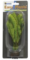 Easy plants middel 20cm nr.12 zijde - thumbnail