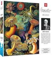 Verbeeldingspuzzel: Ernst Haeckel Zeeschepsels 1000 elementen - thumbnail