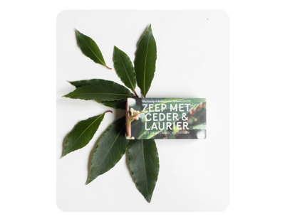 Werfzeep - botanische tuinen - ceder & laurier