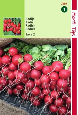 Zaden Radijs Saxa - 2 Hortitops - Hortitops