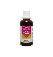 Zonnegoud Solidago Simplex - thumbnail