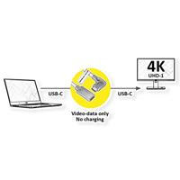 ROLINE Type C Video Kabel, USB-C (DP Alt Mode) Extension Kabel C-C, M/F, zwart, 2 m - thumbnail