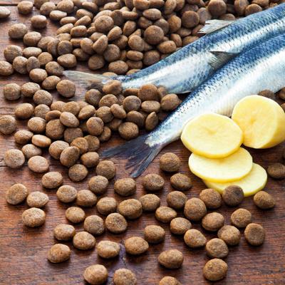 alsa-nature Haring & Aardappel granenvrij, 6 kg alsa-nature Haring & Aardappel granenvrij, 6 kg