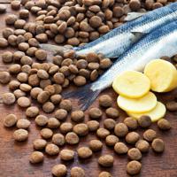 alsa-nature Haring & Aardappel granenvrij, 6 kg - thumbnail