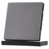 Merten MEG3300-6050 Wisselschakelaar Afdekking System Design Nikkel 1 stuk(s)