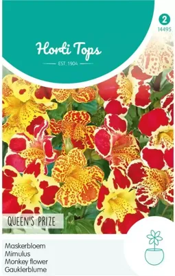 Zaden Mimulus Maskerbloem Queen's Prize Hortitops - Hortitops