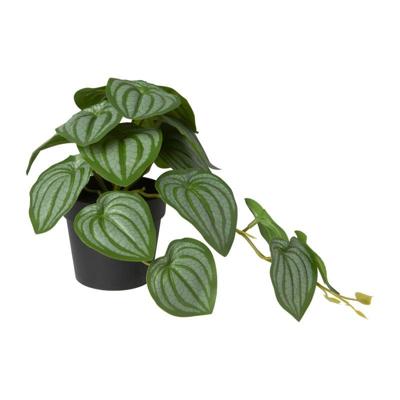Kunstplant peperomia - 17 cm Kunstplant peperomia - 17 cm