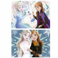 Set van 2 Puzzels Frozen 20 Onderdelen - thumbnail