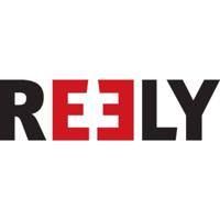 Reely LiPo accupack 11.1 V 4000 mAh Aantal cellen: 3 20 C Hardcase T-stekkersysteem - thumbnail