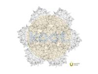 Slamp - Veli 7 Hanglamp - thumbnail