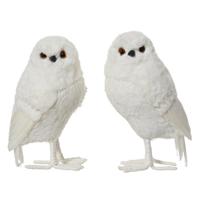 Decoratie Uil 14x13x25 cm Wit Assorti - thumbnail