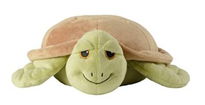 Zeeschildpad