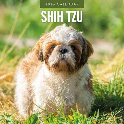 Shih Tzu Kalender 2026