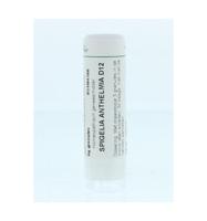 Homeoden Heel Spigelia anthelmia D12 6 Gram - thumbnail