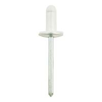 KS Tools 420.1781 Afdichtklinknagel met 12,8 mm flens universeel, verpakking van 10 stuks - thumbnail