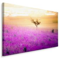 Schilderij - Eenzame Boom in een Lavendel Veld, Premium Print - thumbnail