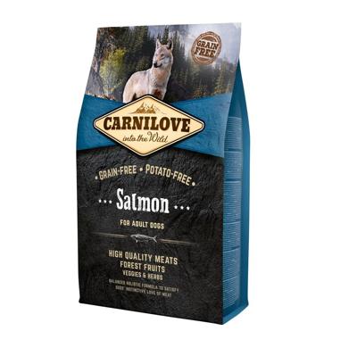 Carnilove salmon adult