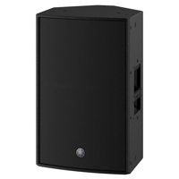 Yamaha DZR12 - thumbnail