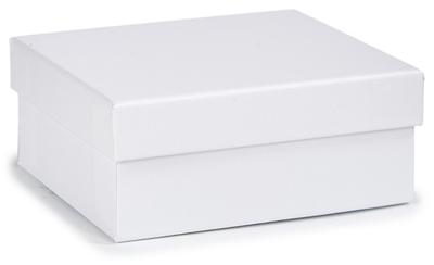 Multi-functionele Kist Karton Wit - Maat: 8,5 x 5 x 12,5 cm