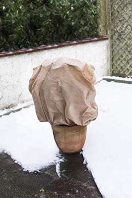 Connex Rozenbeschermingsfolie 3S 0.80X0.75 - FLOR80280