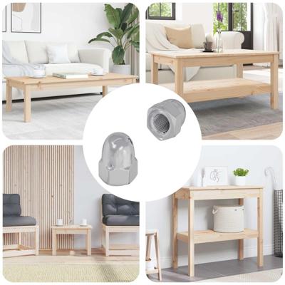 VidaXL Moer 2 pcs zilver m6 x 10 mm ijzer