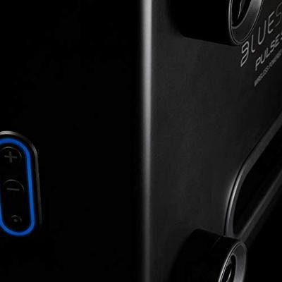 Bluesound Pulse SUB+ draadloze actieve subwoofer - Zwart