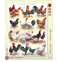 New York Puzzle Company Poules ~ Pluimvee - 500 stukjes - thumbnail