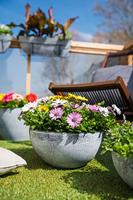 Ter Steege Plantenpot - schaal - kunststof - betongrijs - 35 x 17 cm - thumbnail