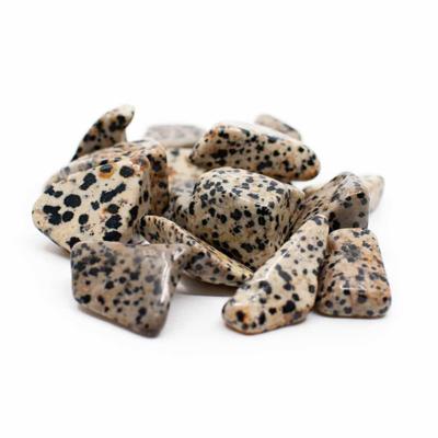 Trommelstenen Dalmatier Jaspis (20 tot 40 mm) - 200 gram Trommelstenen Dalmatier Jaspis (20 tot 40 mm) - 200 gram