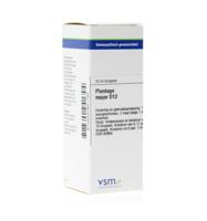 VSM Plantago major D12 20 Milliliter - thumbnail