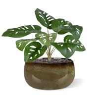 Monstera Adonsonii kunstplant 30cm - thumbnail