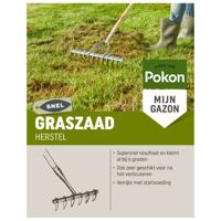 Pokon graszaad herstel 1 kg - thumbnail