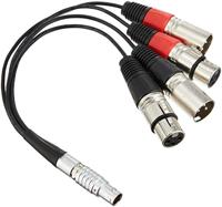 Atomos 10-pin LEMO naar XLR breakout kabel voor Shogun - thumbnail