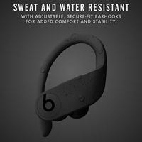 Beats Powerbeats Pro Black - thumbnail