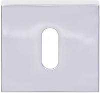 Formani | Sleutelplaatje | LSQBN50 | 50mm | gepolijst roestvast staal - thumbnail