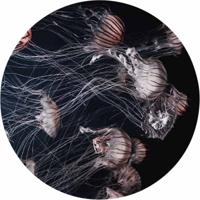 Wanddecoratie Wonderful Life 013 rond 70cm - thumbnail