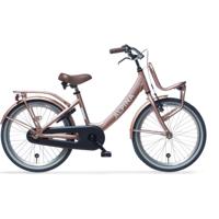 Alpina Clubb Kinderfiets Transport 22 inch - thumbnail