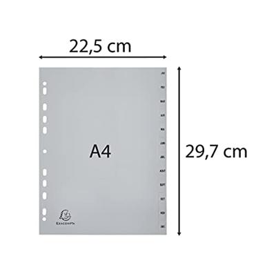 Exacompta tabbladen maandelijks A4, uit PP, 12 tabs, jan-dec, grijs, Frans