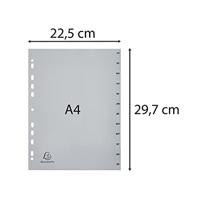 Exacompta tabbladen maandelijks A4, uit PP, 12 tabs, jan-dec, grijs, Frans - thumbnail