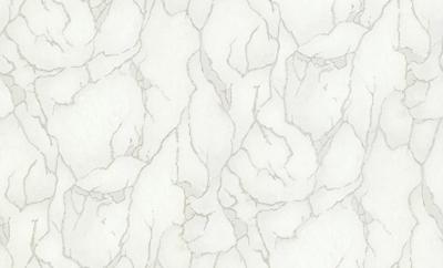 Dutch Wallcoverings Yudashkin 5 10X1,06M - Beige/Zilver