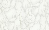 Dutch Wallcoverings Yudashkin 5 10X1,06M - Beige/Zilver - thumbnail
